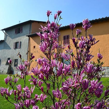 Agriturismo La Querce Rignano sullʼArno エクステリア 写真