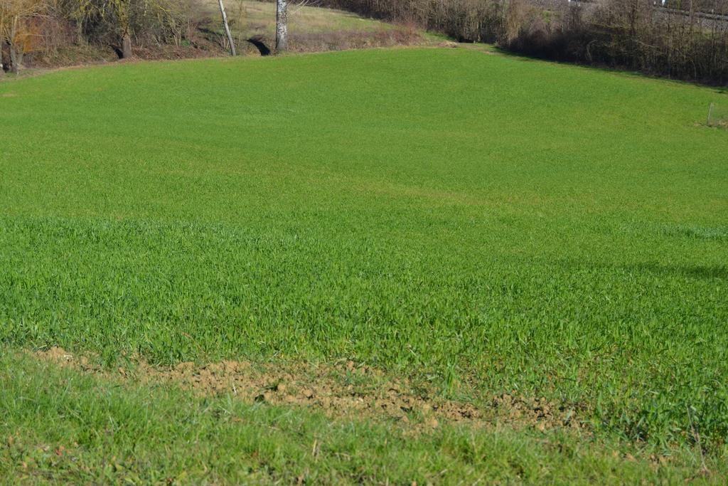 Agriturismo La Querce Rignano sullʼArno 部屋 写真