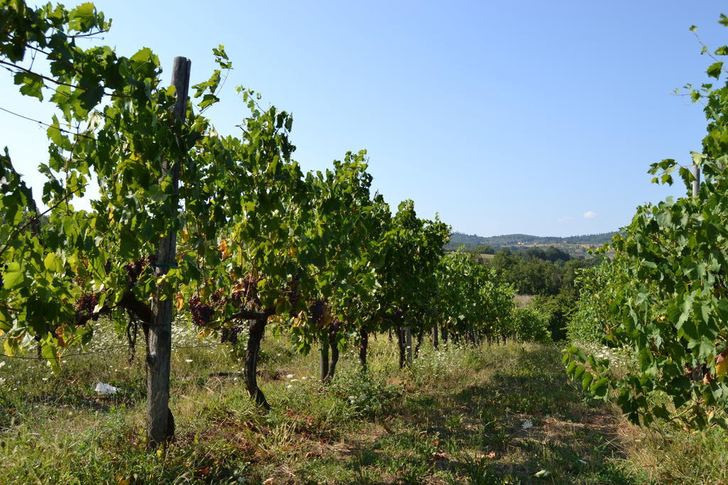 Agriturismo La Querce Rignano sullʼArno エクステリア 写真