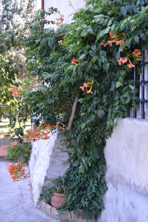 Agriturismo La Querce Rignano sullʼArno エクステリア 写真