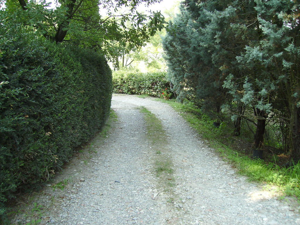 Agriturismo La Querce Rignano sullʼArno エクステリア 写真